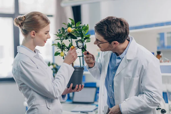 Biologists — Stock Photo