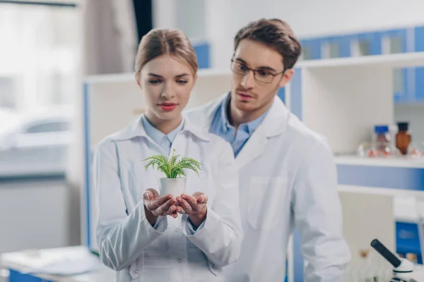 Chemists with fern plant — Stock Photo