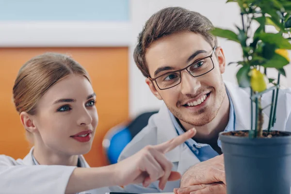 Biologists with plant in laboratory — Stock Photo