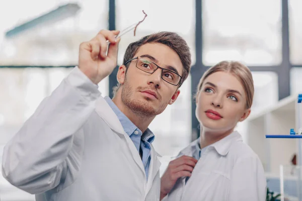 Biologists working with root — Stock Photo