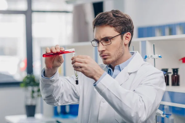 Químico que trabaja en laboratorio biológico - foto de stock