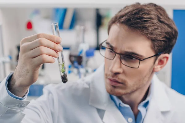 Biologist working with plant in flask — Stock Photo