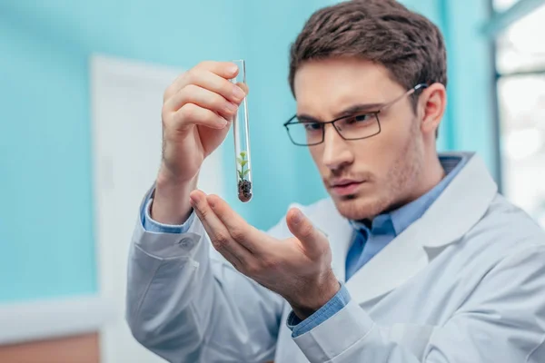 Biologist with plant in flask — Stock Photo