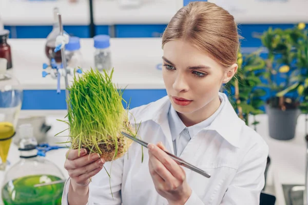 Beautiful biologist with grass — Stock Photo