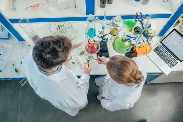 Biólogos trabajando en laboratorio con tubos - foto de stock