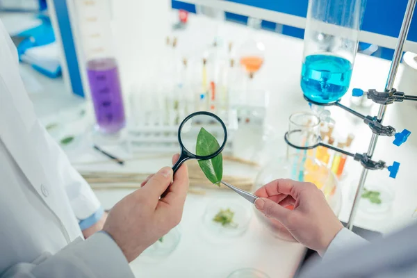 Biólogos que trabajan en laboratorio - foto de stock