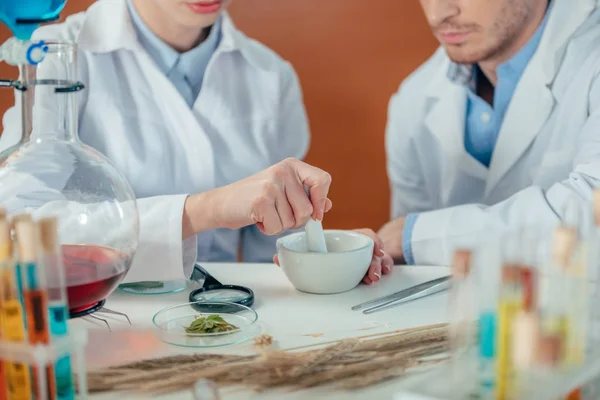 Biologists — Stock Photo