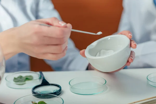 Biologist with petri dishes — Stock Photo