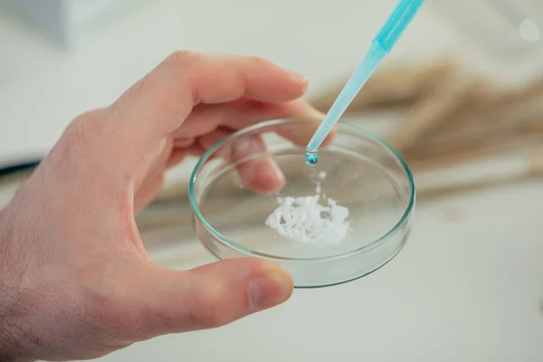 Reagents in petri dish — Stock Photo