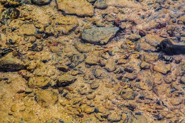 Staré Kamenné Podlaze Blízko Moře Phuket Thajsko — Stock fotografie