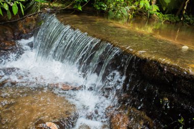 Şelale orman Phuket Tayland.