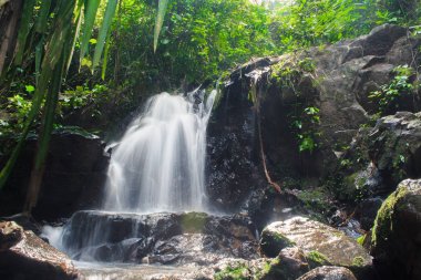 Ton Sai şelale, orman, Phuket Island, Tayland