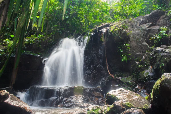 Ton Sai şelale, orman, Phuket Island, Tayland