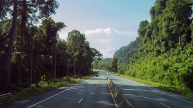 Ozone Ormanı Bakış Açısı Yolu, Krabi, Tayland