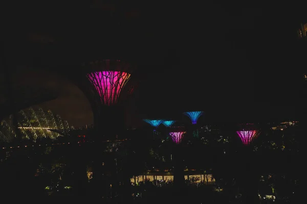 シンガポール J15 9月2019 夏の夜にマリーナベイサンズホテルの近くのシンガポールの湾によるガーデンズのスーパーツリーグローブでのウォークウェイ — ストック写真