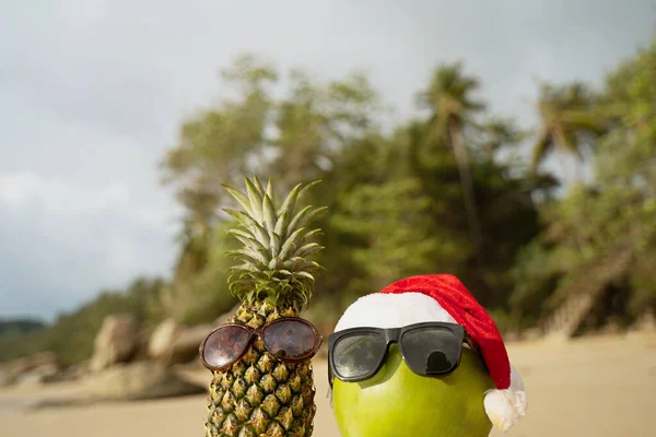 Kokosnuss Urlaub Mit Gläsern Und Weihnachtsmann Hut Und Ananas Konzept — Stockfoto