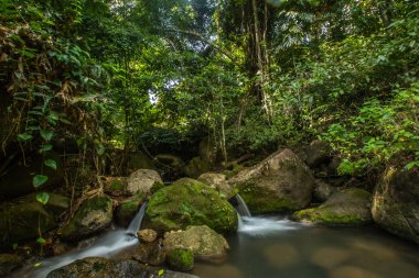 Kathu Şelalesi tropikal orman bölgesinde Asya 'da yürüyüş, doğa yürüyüşü ve yürüyüş için uygun ulusal park Phuket Tayland' ın macera fotoğrafçılığı seyahat ve eğlence için elverişli.