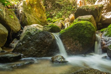 Kathu Şelalesi tropikal orman bölgesinde Asya 'da yürüyüş, doğa yürüyüşü ve yürüyüş için uygun ulusal park Phuket Tayland' ın macera fotoğrafçılığı seyahat ve eğlence için elverişli.