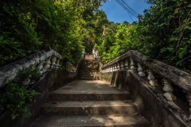 Kathu Şelalesi, Phuket, Tayland. Güzel, bereketli bir şelalede bir orman yolu..