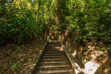 Kathu Şelalesi, Phuket, Tayland. Güzel, bereketli bir şelalede bir orman yolu..