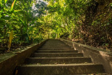 Kathu Şelalesi tropikal orman bölgesinde Asya 'da yürüyüş, doğa yürüyüşü ve yürüyüş için uygun ulusal park Phuket Tayland' ın macera fotoğrafçılığı seyahat ve eğlence için elverişli.