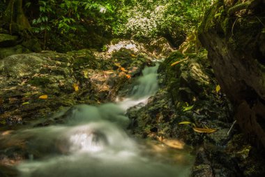 Kathu Şelalesi tropikal orman bölgesinde Asya 'da yürüyüş, doğa yürüyüşü ve yürüyüş için uygun ulusal park Phuket Tayland' ın macera fotoğrafçılığı seyahat ve eğlence için elverişli.