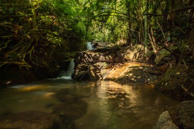Kathu Şelalesi tropikal orman bölgesinde Asya 'da yürüyüş, doğa yürüyüşü ve yürüyüş için uygun ulusal park Phuket Tayland' ın macera fotoğrafçılığı seyahat ve eğlence için elverişli.