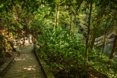 Kathu Şelalesi, Phuket, Tayland. Güzel, bereketli bir şelalede bir orman yolu..