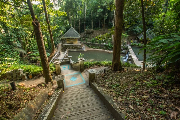 Kathu Şelalesi, Phuket, Tayland. Güzel, bereketli bir şelalede bir orman yolu..