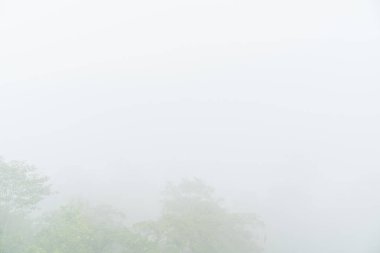 Günaydın sisli arka plan gökyüzü, Altın Dağ 'da güzel bir dağ parlak yeşil, Narathiwat Tayland' da bolca..