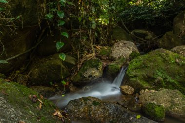 Kathu Şelalesi tropikal orman bölgesinde Asya 'da yürüyüş, doğa yürüyüşü ve yürüyüş için uygun ulusal park Phuket Tayland' ın macera fotoğrafçılığı seyahat ve eğlence için elverişli.