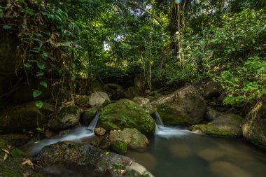 Kathu Şelalesi tropikal orman bölgesinde Asya 'da yürüyüş, doğa yürüyüşü ve yürüyüş için uygun ulusal park Phuket Tayland' ın macera fotoğrafçılığı seyahat ve eğlence için elverişli.