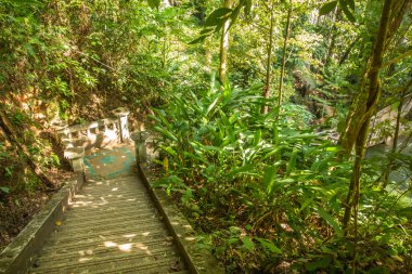 Kathu Şelalesi, Phuket, Tayland. Güzel, bereketli bir şelalede bir orman yolu..