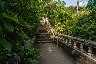 Kathu Şelalesi, Phuket, Tayland. Güzel, bereketli bir şelalede bir orman yolu..