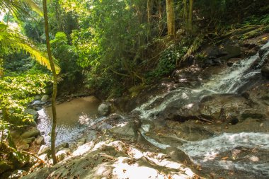 Kathu Şelalesi tropikal orman bölgesinde Asya 'da yürüyüş, doğa yürüyüşü ve yürüyüş için uygun ulusal park Phuket Tayland' ın macera fotoğrafçılığı seyahat ve eğlence için elverişli.