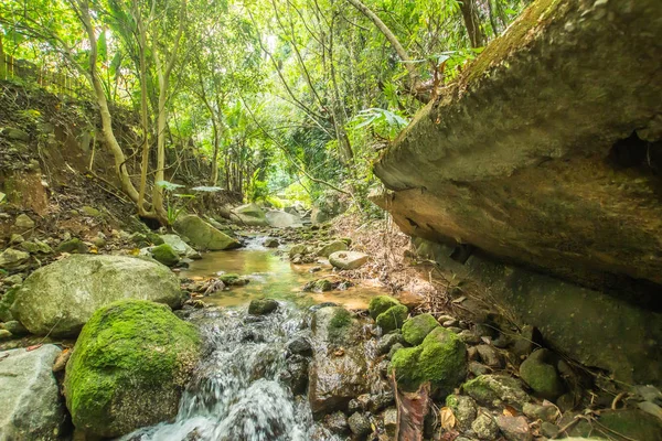 Kathu Waterfall in the tropical forest area In Asia, suitable for walks, nature walks and hiking, adventure photography Of the national park Phuket Thailand,Suitable for travel and leisure.