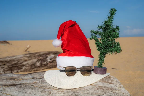 Концепция Рождественский Санта Шляпа Пляже Дерево Природа Фоновый Творческий Тропический — стоковое фото