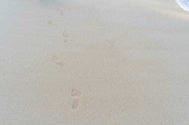 Arka plan, parlak kahverengi deniz kumu, gözlerde rahat, Phuket, Tayland.