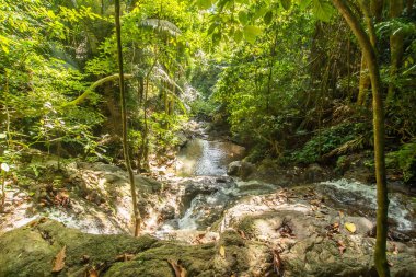 Kathu Şelalesi tropikal orman bölgesinde Asya 'da yürüyüş, doğa yürüyüşü ve yürüyüş için uygun ulusal park Phuket Tayland' ın macera fotoğrafçılığı seyahat ve eğlence için elverişli.