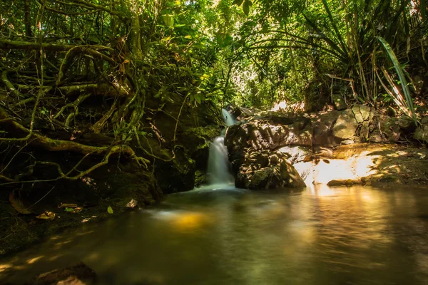 Kathu Waterfall in the tropical forest area In Asia, suitable for walks, nature walks and hiking, adventure photography Of the national park Phuket Thailand,Suitable for travel and leisure.