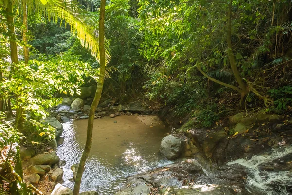 Kathu Waterfall in the tropical forest area In Asia, suitable for walks, nature walks and hiking, adventure photography Of the national park Phuket Thailand,Suitable for travel and leisure.