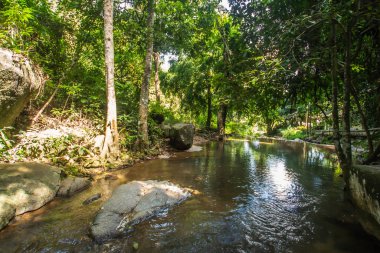 Kathu Şelalesi tropikal orman bölgesinde Asya 'da yürüyüş, doğa yürüyüşü ve yürüyüş için uygun ulusal park Phuket Tayland' ın macera fotoğrafçılığı seyahat ve eğlence için elverişli.