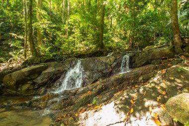 Kathu Şelalesi tropikal orman bölgesinde Asya 'da yürüyüş, doğa yürüyüşü ve yürüyüş için uygun ulusal park Phuket Tayland' ın macera fotoğrafçılığı seyahat ve eğlence için elverişli.