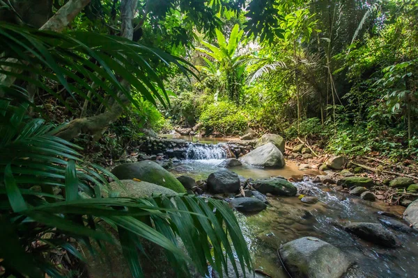 Kathu Şelalesi tropikal orman bölgesinde Asya 'da yürüyüş, doğa yürüyüşü ve yürüyüş için uygun ulusal park Phuket Tayland' ın macera fotoğrafçılığı seyahat ve eğlence için elverişli.