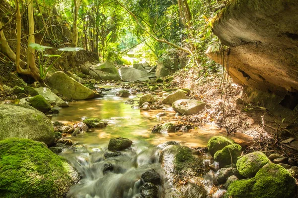 Kathu Waterfall in the tropical forest area In Asia, suitable for walks, nature walks and hiking, adventure photography Of the national park Phuket Thailand,Suitable for travel and leisure.