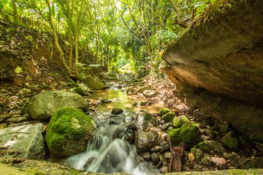 Kathu Şelalesi tropikal orman bölgesinde Asya 'da yürüyüş, doğa yürüyüşü ve yürüyüş için uygun ulusal park Phuket Tayland' ın macera fotoğrafçılığı seyahat ve eğlence için elverişli.