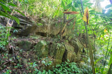 Kathu Şelalesi, Phuket, Tayland. Güzel, bereketli bir şelalede bir orman yolu..