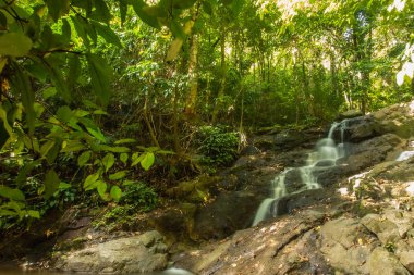 Kathu Şelalesi tropikal orman bölgesinde Asya 'da yürüyüş, doğa yürüyüşü ve yürüyüş için uygun ulusal park Phuket Tayland' ın macera fotoğrafçılığı seyahat ve eğlence için elverişli.
