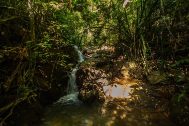 Kathu Şelalesi tropikal orman bölgesinde Asya 'da yürüyüş, doğa yürüyüşü ve yürüyüş için uygun ulusal park Phuket Tayland' ın macera fotoğrafçılığı seyahat ve eğlence için elverişli.