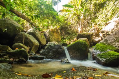 Kathu Şelalesi tropikal orman bölgesinde Asya 'da yürüyüş, doğa yürüyüşü ve yürüyüş için uygun ulusal park Phuket Tayland' ın macera fotoğrafçılığı seyahat ve eğlence için elverişli.